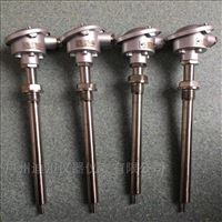 wzp赫斯曼溫(wēn)度傳感器